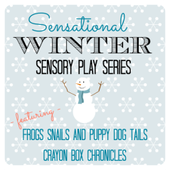 Sensation Winter Sensory Play Series by Crayon Box Chronicles 