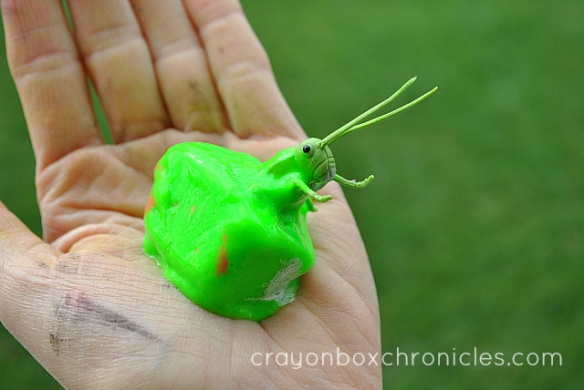 grasshopper frozen in paint cube in hand