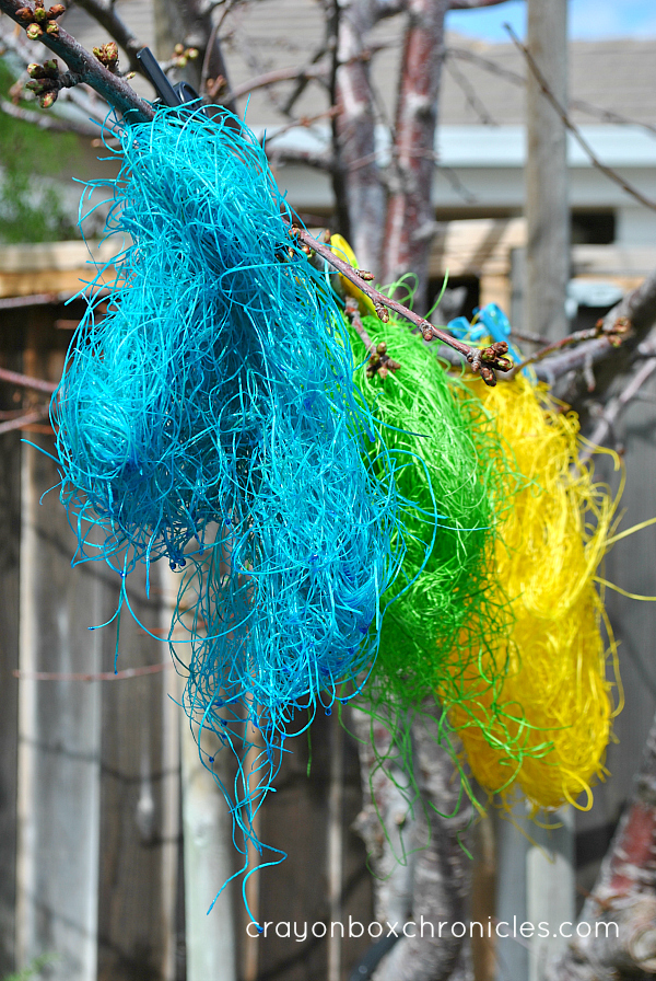 drying colored hay on a tree branch