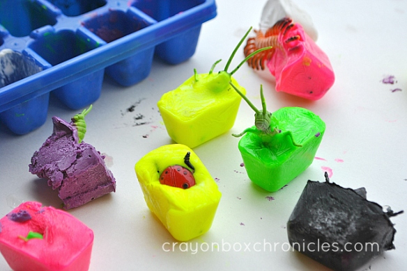 insects inside frozen paint cubes